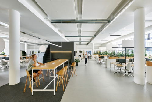 寫(xiě)字樓裝修隔斷做不做到頂 辦公樓如何設(shè)計(jì)富有創(chuàng)意